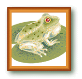 jdfrog1